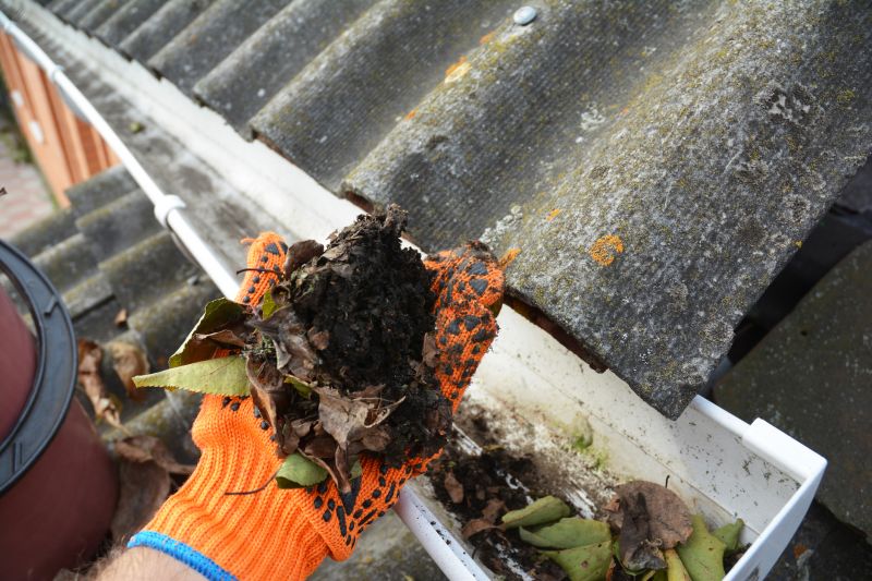 Commercial Gutter Cleaning detail