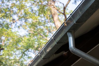 Gutter Drain Maintenance