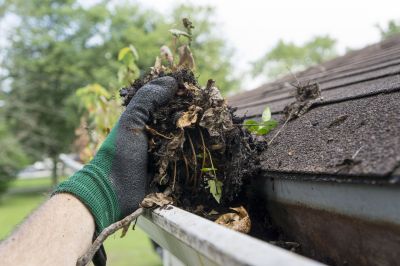 Spring Gutter Cleaning