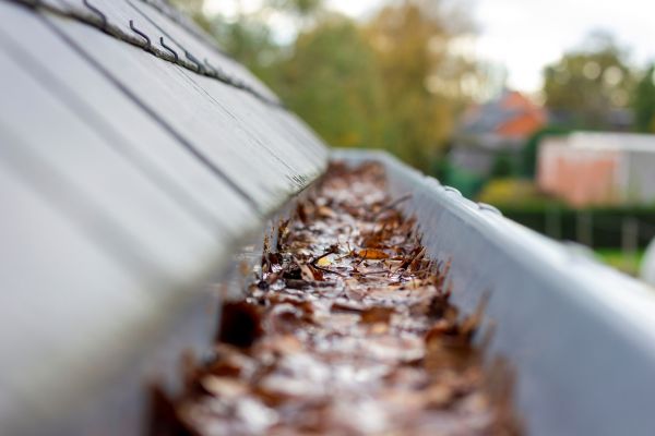 Commercial Gutter Cleaning in Gallatin