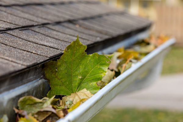 Cost of Gutter System Cleaning in Gallatin
