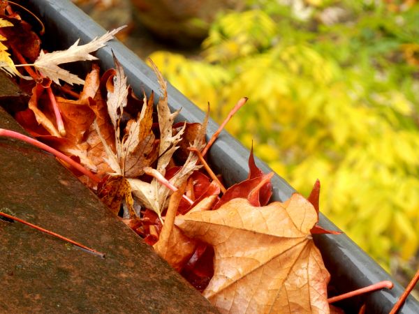 Cost of Roof Gutter Debris Removal in Gallatin