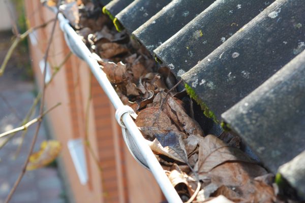 Cost of Home Gutter Cleaning in Gallatin